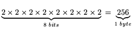 $\underbrace{2\times{}2\times{}2\times{}2\times{}2\times{}2\times{}2\times{}2}_{8{~}bits}{}={}\underbrace{256}_{1{~}byte}$
